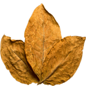Tobacco